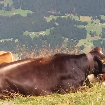 Haus Sabine Homestay szállás
