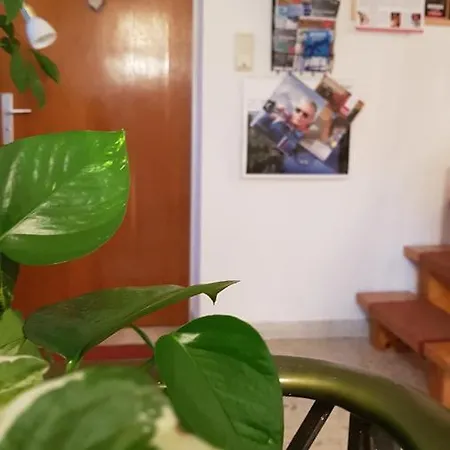 Pansiyon Haus Sabine *